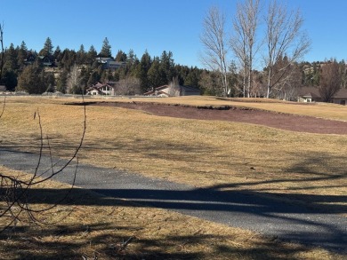 Beautiful ***in-your-face*** Golf Course Lot!  ...with sewer on Lake Shastina Golf Course in California - for sale on GolfHomes.com, golf home, golf lot