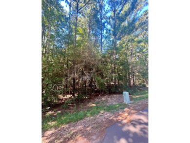 Build your East Texas dream home in Rayburn Country! Enjoy all on Rayburn Country Club in Texas - for sale on GolfHomes.com, golf home, golf lot