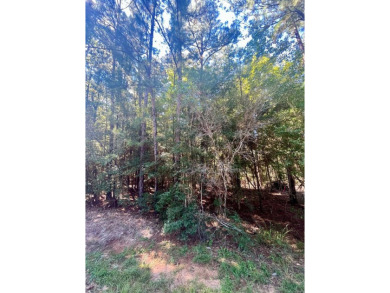 Build your East Texas dream home in Rayburn Country! Enjoy all on Rayburn Country Club in Texas - for sale on GolfHomes.com, golf home, golf lot