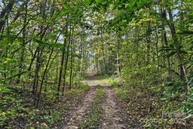 This homesite in Linville Falls Mountain Club offers the perfect on Linville Falls Golf Club in North Carolina - for sale on GolfHomes.com, golf home, golf lot