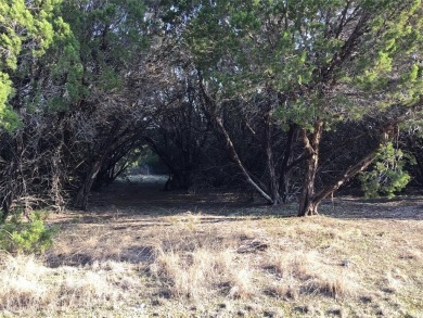 Great corner lot.  Enjoy peace & tranquility of living in 24-7 on White Bluff Resort - Old Course in Texas - for sale on GolfHomes.com, golf home, golf lot