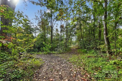 This homesite in Linville Falls Mountain Club offers the perfect on Linville Falls Golf Club in North Carolina - for sale on GolfHomes.com, golf home, golf lot