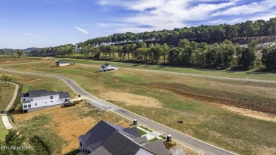 Discover the unparalleled charm of the Tennessee National Lake on Tennessee National Golf Club in Tennessee - for sale on GolfHomes.com, golf home, golf lot