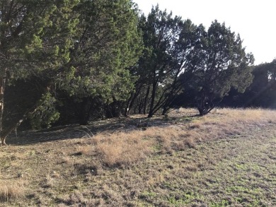 Great corner lot.  Enjoy peace & tranquility of living in 24-7 on White Bluff Resort - Old Course in Texas - for sale on GolfHomes.com, golf home, golf lot