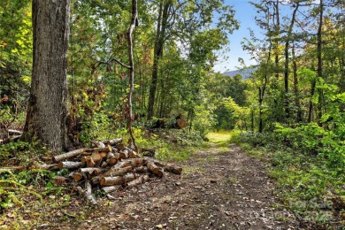 This homesite in Linville Falls Mountain Club offers the perfect on Linville Falls Golf Club in North Carolina - for sale on GolfHomes.com, golf home, golf lot