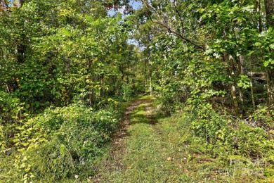 This homesite in Linville Falls Mountain Club offers the perfect on Linville Falls Golf Club in North Carolina - for sale on GolfHomes.com, golf home, golf lot