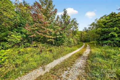 This homesite in Linville Falls Mountain Club offers the perfect on Linville Falls Golf Club in North Carolina - for sale on GolfHomes.com, golf home, golf lot