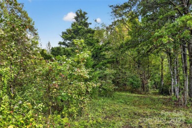This homesite in Linville Falls Mountain Club offers the perfect on Linville Falls Golf Club in North Carolina - for sale on GolfHomes.com, golf home, golf lot