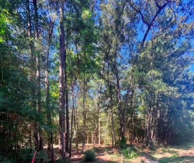 Build your East Texas dream home in Rayburn Country! Enjoy all on Rayburn Country Club in Texas - for sale on GolfHomes.com, golf home, golf lot