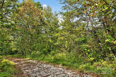 This homesite in Linville Falls Mountain Club offers the perfect on Linville Falls Golf Club in North Carolina - for sale on GolfHomes.com, golf home, golf lot