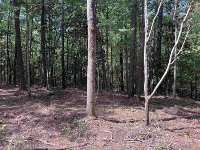 Build your East Texas dream home in Rayburn Country! Enjoy all on Rayburn Country Club in Texas - for sale on GolfHomes.com, golf home, golf lot