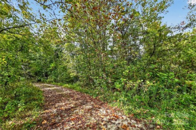 This homesite in Linville Falls Mountain Club offers the perfect on Linville Falls Golf Club in North Carolina - for sale on GolfHomes.com, golf home, golf lot