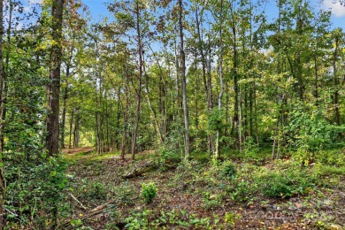 This homesite in Linville Falls Mountain Club offers the perfect on Linville Falls Golf Club in North Carolina - for sale on GolfHomes.com, golf home, golf lot