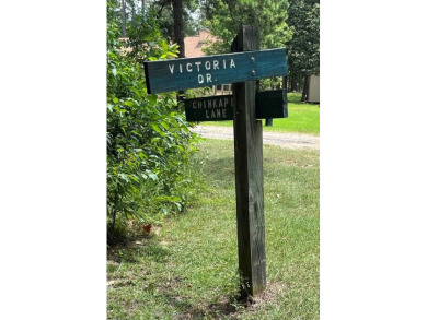 Build your East Texas dream home in Rayburn Country! Enjoy all on Rayburn Country Club in Texas - for sale on GolfHomes.com, golf home, golf lot