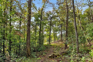 This homesite in Linville Falls Mountain Club offers the perfect on Linville Falls Golf Club in North Carolina - for sale on GolfHomes.com, golf home, golf lot