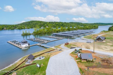 Discover the unparalleled charm of the Tennessee National Lake on Tennessee National Golf Club in Tennessee - for sale on GolfHomes.com, golf home, golf lot