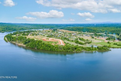 Discover the unparalleled charm of the Tennessee National Lake on Tennessee National Golf Club in Tennessee - for sale on GolfHomes.com, golf home, golf lot