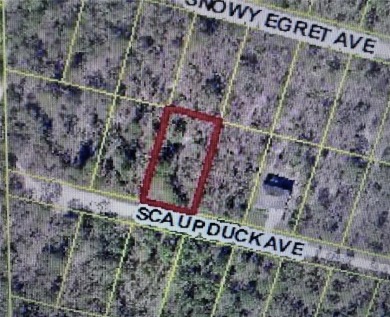 This spacious half-acre lot features a cleared area along the on Dunes Golf Club in Florida - for sale on GolfHomes.com, golf home, golf lot