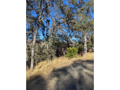 Great opportunity to own a property near Lake Tulloch with on The Club at Copper Valley Golf Course in California - for sale on GolfHomes.com, golf home, golf lot