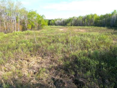 Discover the perfect blend of seclusion and convenience with on Sandstone Area Country Club in Minnesota - for sale on GolfHomes.com, golf home, golf lot