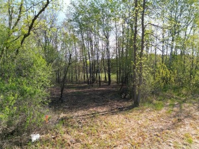 Discover the perfect blend of seclusion and convenience with on Sandstone Area Country Club in Minnesota - for sale on GolfHomes.com, golf home, golf lot