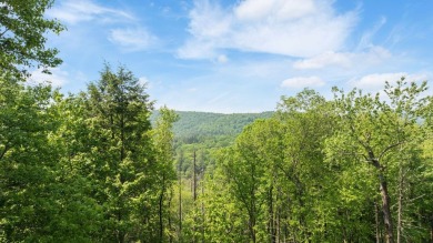 Just a few minutes from Main Street Highlands, you'll find this on Highlands Falls Country Club in North Carolina - for sale on GolfHomes.com, golf home, golf lot