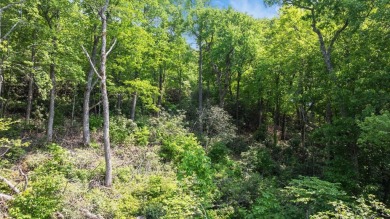 Just a few minutes from Main Street Highlands, you'll find this on Highlands Falls Country Club in North Carolina - for sale on GolfHomes.com, golf home, golf lot