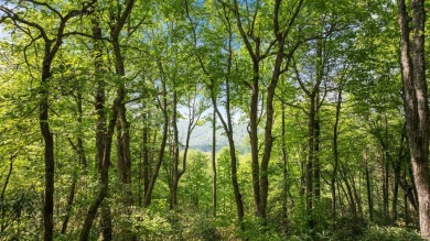 Just a few minutes from Main Street Highlands, you'll find this on Highlands Falls Country Club in North Carolina - for sale on GolfHomes.com, golf home, golf lot