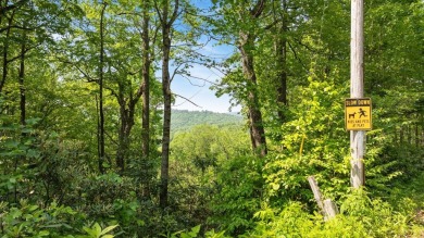 Just a few minutes from Main Street Highlands, you'll find this on Highlands Falls Country Club in North Carolina - for sale on GolfHomes.com, golf home, golf lot