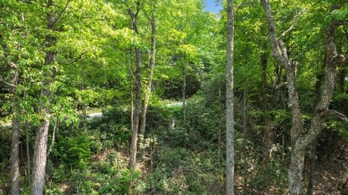 Just a few minutes from Main Street Highlands, you'll find this on Highlands Falls Country Club in North Carolina - for sale on GolfHomes.com, golf home, golf lot