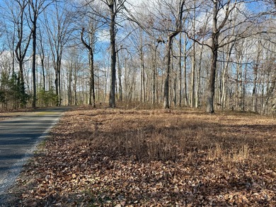 Beautiful 0.5-acre wooded building lot located in the gated on Links At Lily Creek Resort in Kentucky - for sale on GolfHomes.com, golf home, golf lot