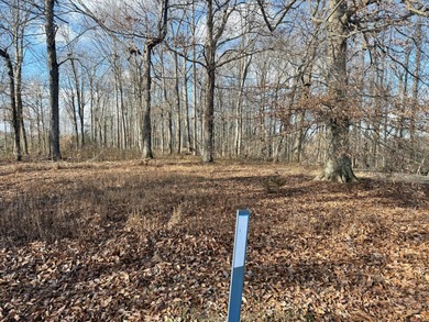 Beautiful 0.5-acre wooded building lot located in the gated on Links At Lily Creek Resort in Kentucky - for sale on GolfHomes.com, golf home, golf lot
