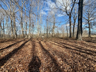 Beautiful 0.5-acre wooded building lot located in the gated on Links At Lily Creek Resort in Kentucky - for sale on GolfHomes.com, golf home, golf lot