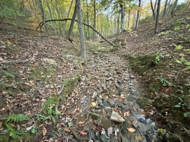 [Lot 15-1 Hills Creek Rd, Mineral Bluff, GA]  Appalachia Land & on Old Toccoa Farm Golf Club in Georgia - for sale on GolfHomes.com, golf home, golf lot