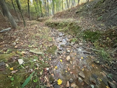 [Lot 15-1 Hills Creek Rd, Mineral Bluff, GA]  Appalachia Land & on Old Toccoa Farm Golf Club in Georgia - for sale on GolfHomes.com, golf home, golf lot