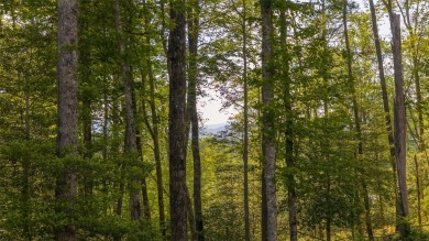 Conveniently located in the Chimney Top neighborhood, Lot 4 on High Hampton Inn and Country Club in North Carolina - for sale on GolfHomes.com, golf home, golf lot