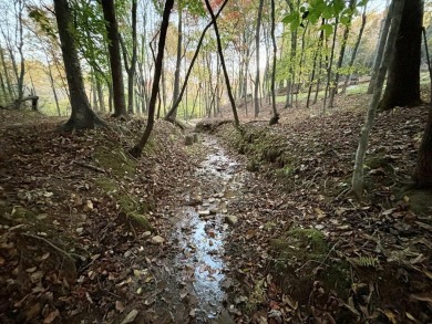 [Lot 15-1 Hills Creek Rd, Mineral Bluff, GA]  Appalachia Land & on Old Toccoa Farm Golf Club in Georgia - for sale on GolfHomes.com, golf home, golf lot