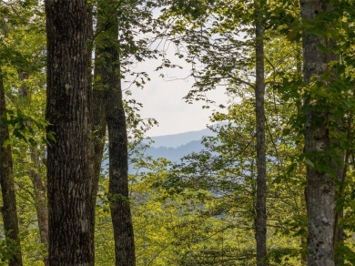 Conveniently located in the Chimney Top neighborhood, Lot 4 on High Hampton Inn and Country Club in North Carolina - for sale on GolfHomes.com, golf home, golf lot