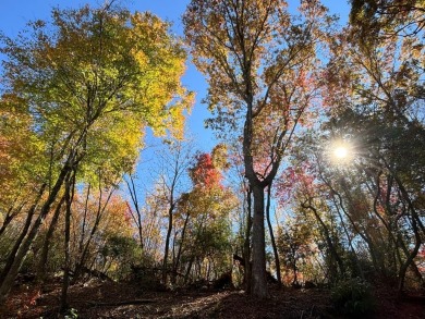 [Lot 15-1 Hills Creek Rd, Mineral Bluff, GA]  Appalachia Land & on Old Toccoa Farm Golf Club in Georgia - for sale on GolfHomes.com, golf home, golf lot