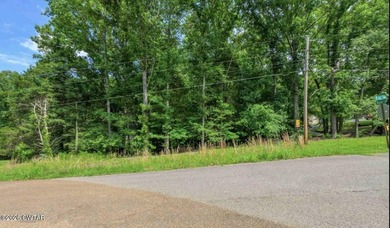 2+- acres of raw land. Lot 1 Beech Loop in Fayette county. This on Somerville Country Club in Tennessee - for sale on GolfHomes.com, golf home, golf lot