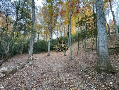 [Lot 15-2 Hills Creek Rd, Mineral Bluff, GA]  Imagine having 2 on Old Toccoa Farm Golf Club in Georgia - for sale on GolfHomes.com, golf home, golf lot