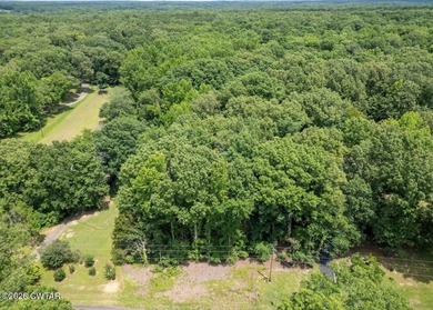 2+- acres of raw land. Lot 1 Beech Loop in Fayette county. This on Somerville Country Club in Tennessee - for sale on GolfHomes.com, golf home, golf lot