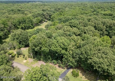 2+- acres of raw land. Lot 1 Beech Loop in Fayette county. This on Somerville Country Club in Tennessee - for sale on GolfHomes.com, golf home, golf lot