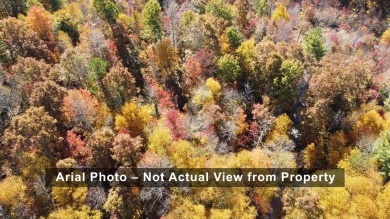 [Lot 15-2 Hills Creek Rd, Mineral Bluff, GA]  Imagine having 2 on Old Toccoa Farm Golf Club in Georgia - for sale on GolfHomes.com, golf home, golf lot