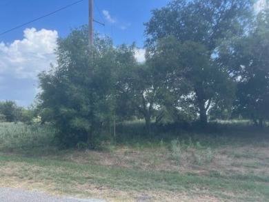 NICE LEVEL LOT WITH FEW TREES TO BUILD YOUR BEAUTIFUL LAKE HOME on White Bluff Resort - Old Course in Texas - for sale on GolfHomes.com, golf home, golf lot