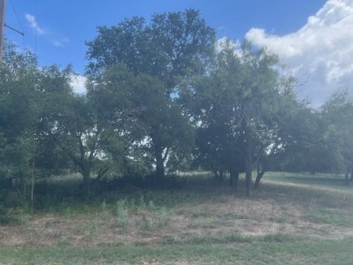 NICE LEVEL LOT WITH FEW TREES TO BUILD YOUR BEAUTIFUL LAKE HOME on White Bluff Resort - Old Course in Texas - for sale on GolfHomes.com, golf home, golf lot