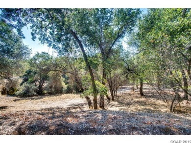 A great over sized corner lot with a gentle down slope. A on Greenhorn Creek Resort in California - for sale on GolfHomes.com, golf home, golf lot