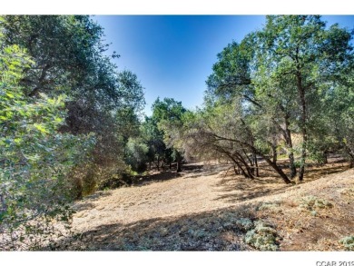 A great over sized corner lot with a gentle down slope. A on Greenhorn Creek Resort in California - for sale on GolfHomes.com, golf home, golf lot