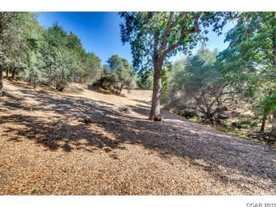 A great over sized corner lot with a gentle down slope. A on Greenhorn Creek Resort in California - for sale on GolfHomes.com, golf home, golf lot
