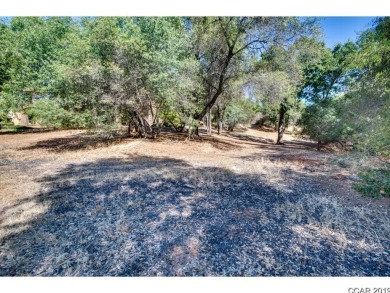 A great over sized corner lot with a gentle down slope. A on Greenhorn Creek Resort in California - for sale on GolfHomes.com, golf home, golf lot